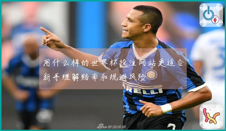 用什么样的世界杯投注网站更适合新手理解赔率和规避风险