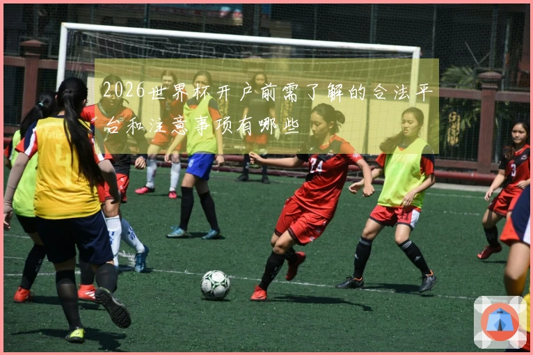 2026世界杯开户前需了解的合法平台和注意事项有哪些