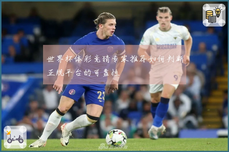 世界杯体彩竞猜专家推荐如何判断正规平台的可靠性
