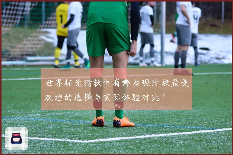 世界杯竞猜软件有哪些现阶段最受欢迎的选择与实际体验对比？